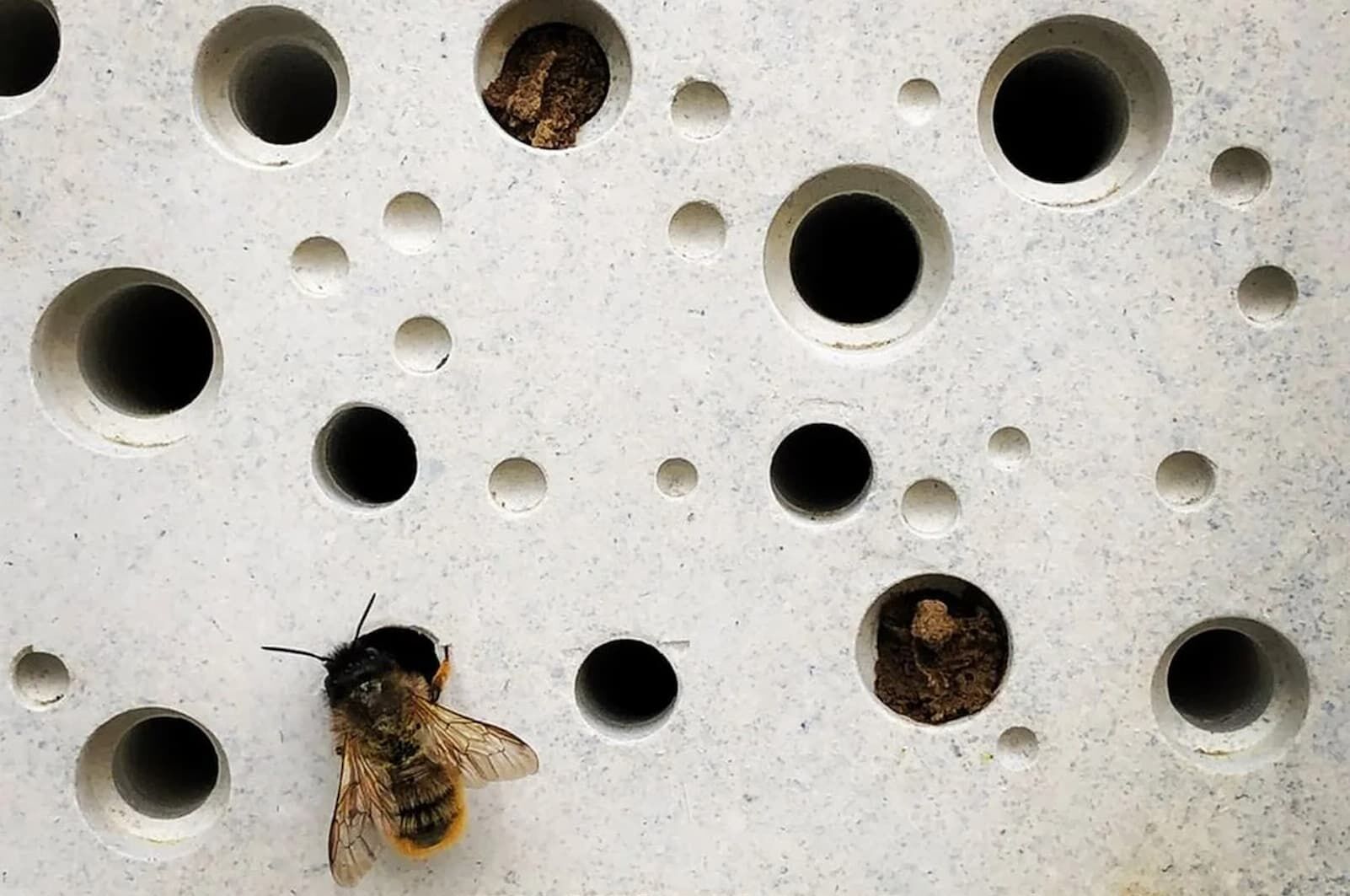 Domki dla pszczół Bee Brick