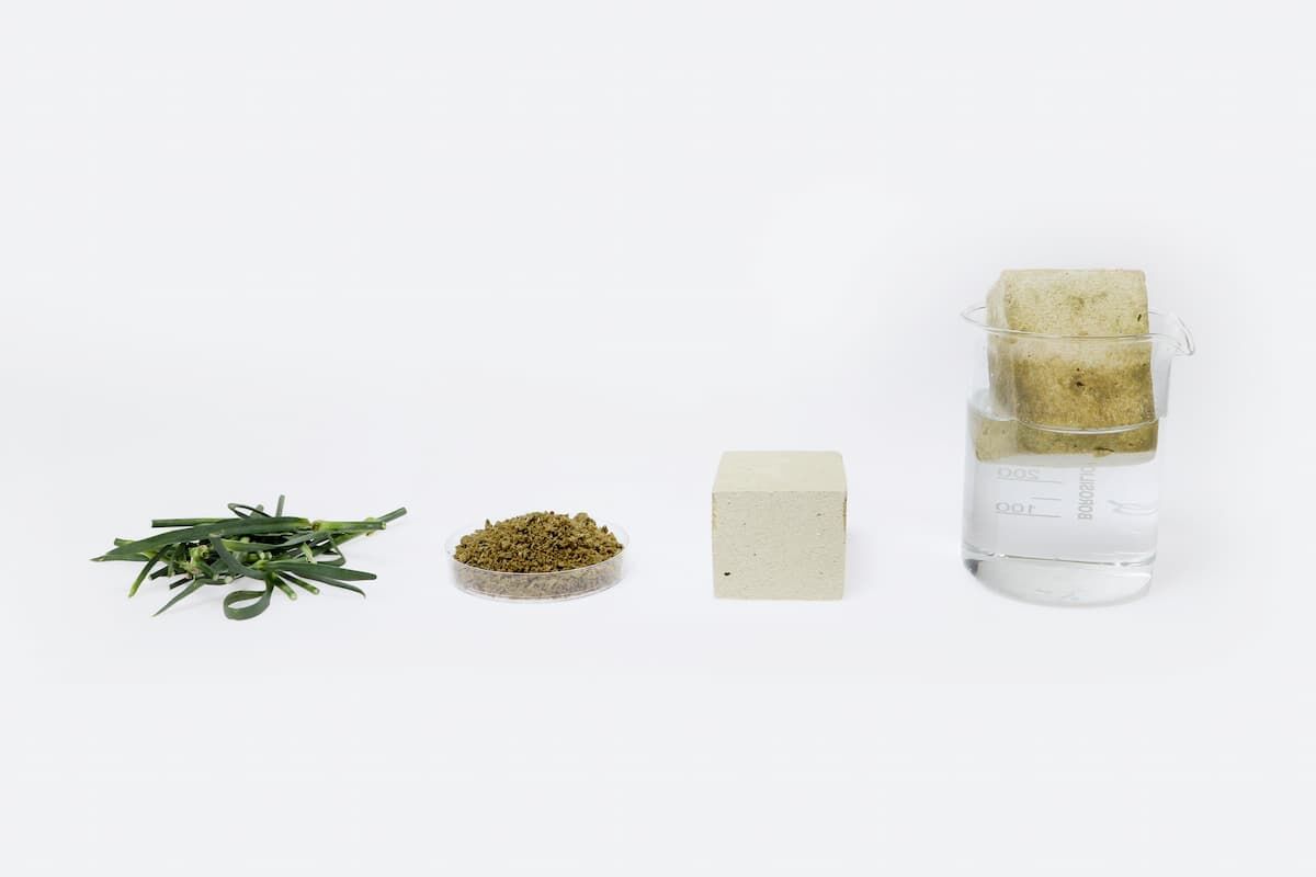 Eko materiały z kwiatów projekt Flower Matter, BIO FOAM 