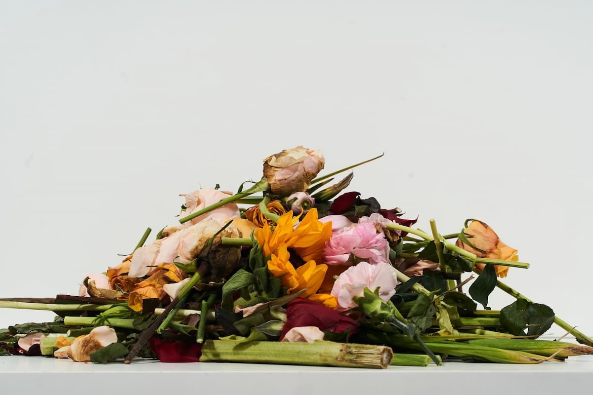 Eko materiały z kwiatów projekt Flower Matter